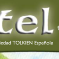 Estel 60, otoño de 2008
