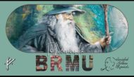 Tolkien en la BRMU